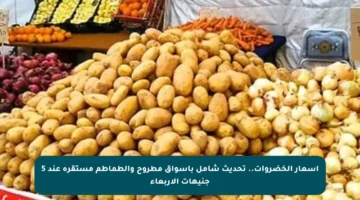 أسعار الخضروات.. تحديث شامل بأسواق مطروح والطماطم مستقرة عند 5 جنيهات الأربعاء